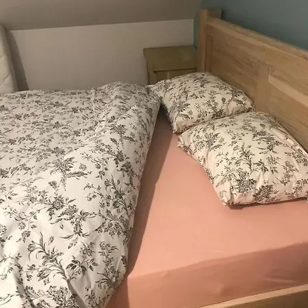 Vila Melissa Bran Tohanita Holiday home